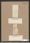 Navicula smithii var. borealis Grun. (de-Toni-Nr.: Genus 1, Species 289) Zeichnungen Sammlung Grunow Nr. 654 (NHMW-BOT-W0367023)